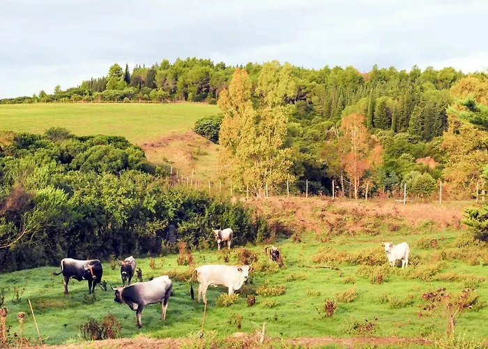 Bauernhof Tempa Bianca Martella